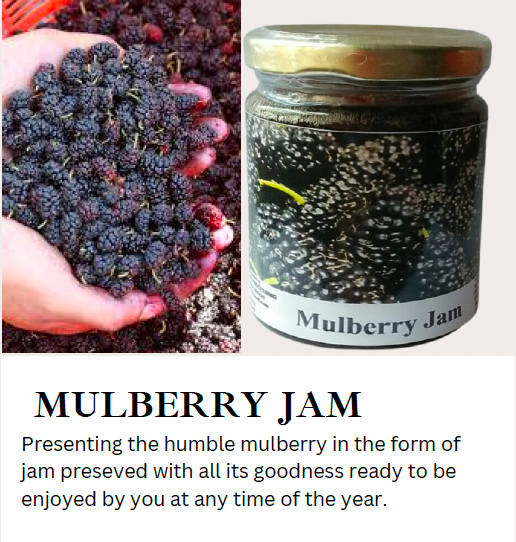 Mulberry Jam